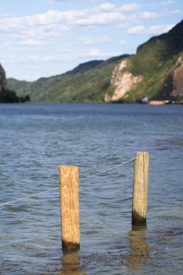 Apartman Barka Golubac Exterior foto