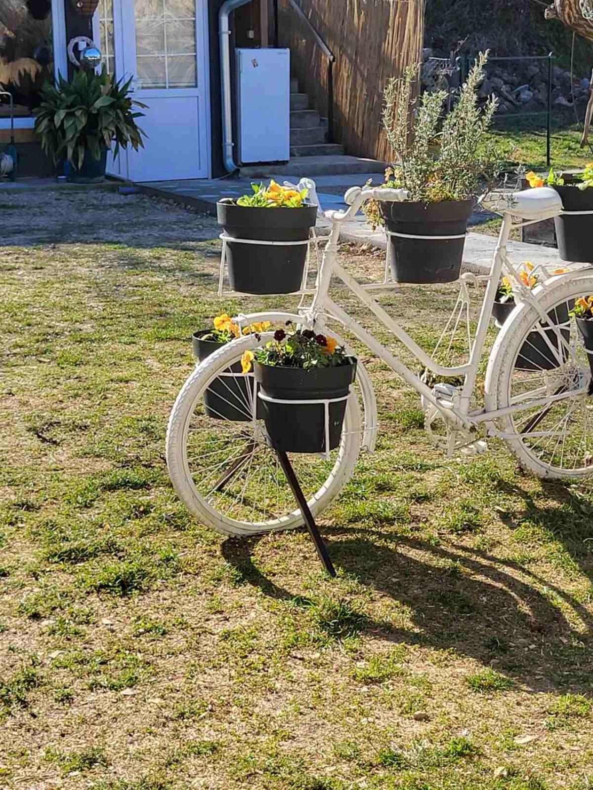 Apartman Barka Golubac Exterior foto